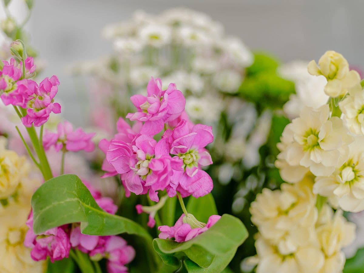 On the Quay Harwich — photo 8